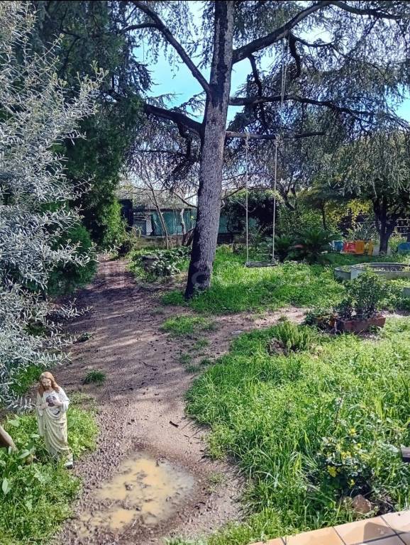 immagine annuncio 9 di 14