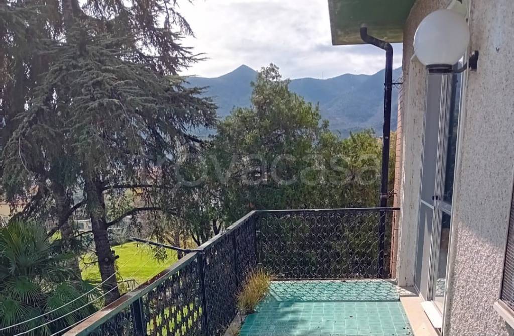 immagine annuncio 11 di 14