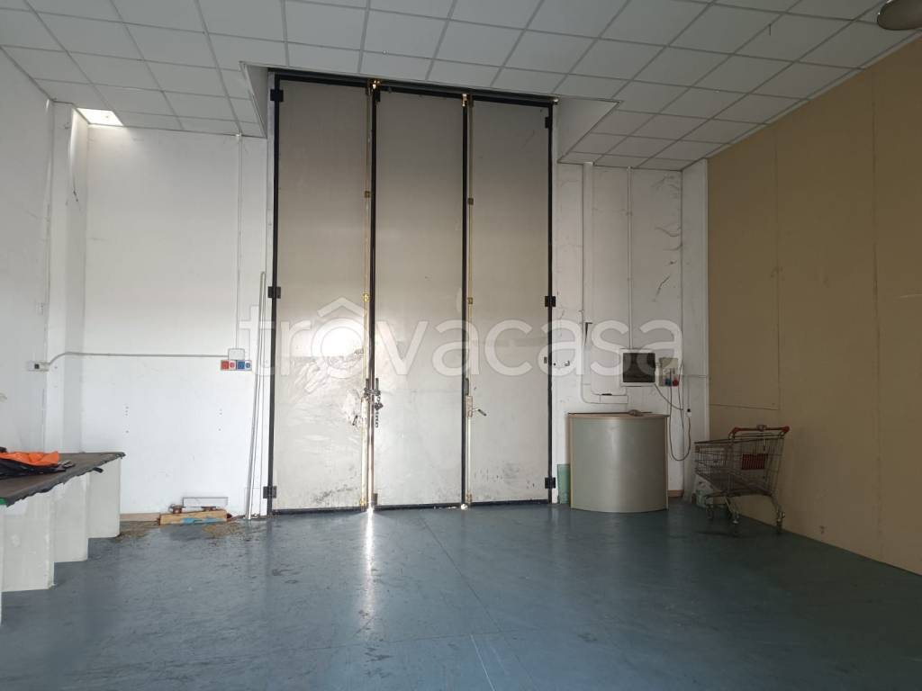 immagine annuncio 6 di 12