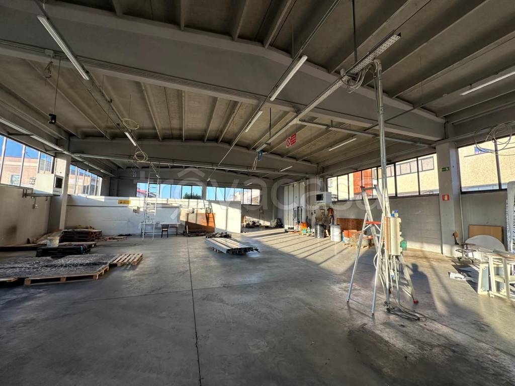 immagine annuncio 6 di 15