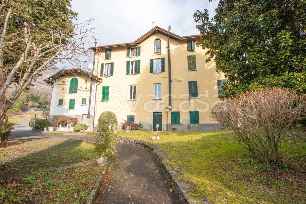 immagine annuncio 5 di 12