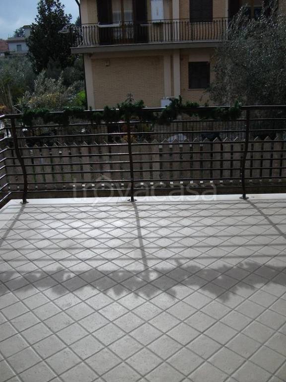 immagine annuncio 9 di 13