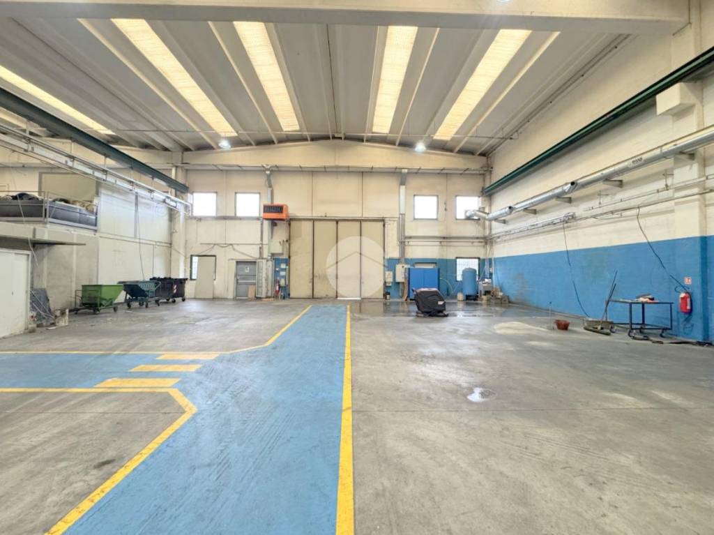 immagine annuncio 1 di 7