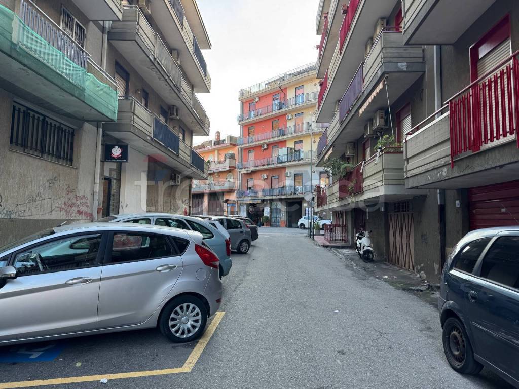 immagine annuncio 10 di 14