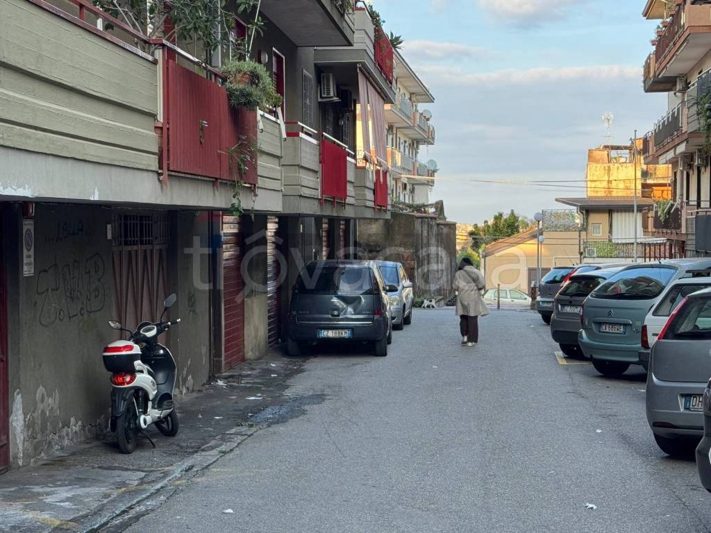 immagine annuncio 11 di 14