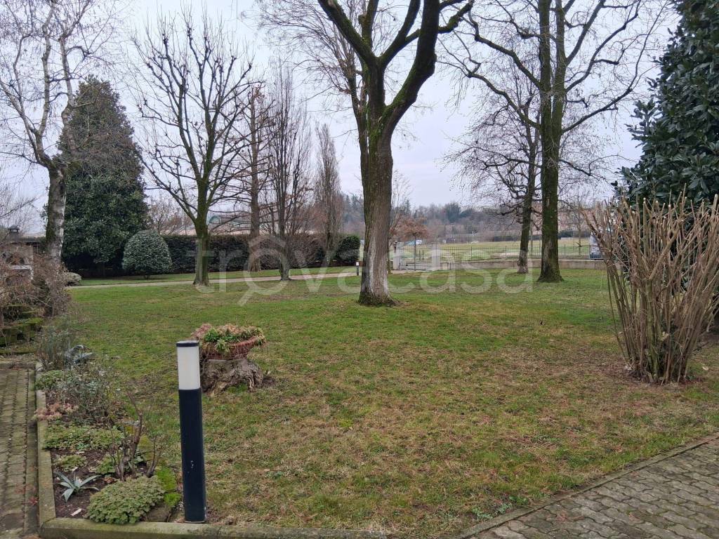 immagine annuncio 1 di 12