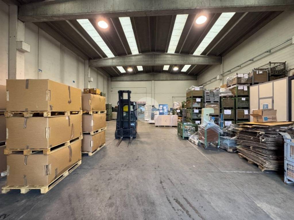 immagine annuncio 1 di 10