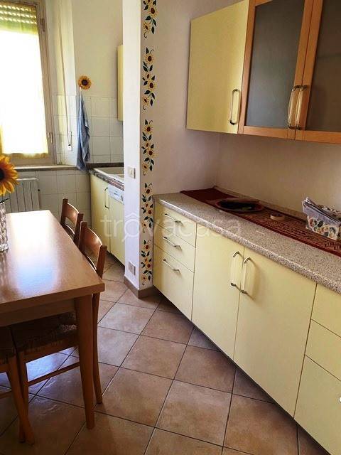 immagine annuncio 6 di 14