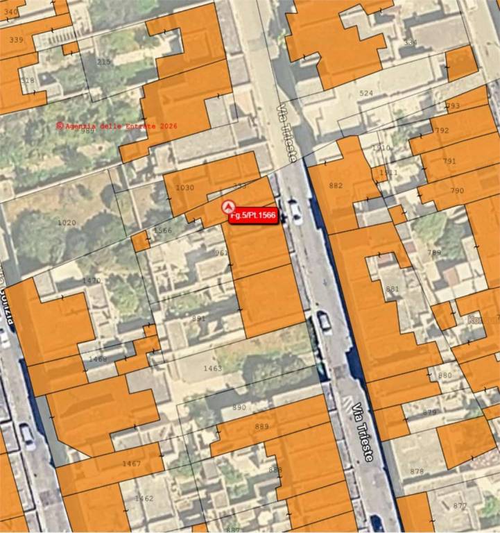 immagine annuncio 3 di 12