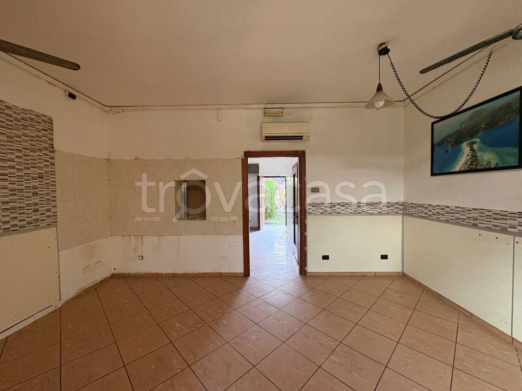 immagine annuncio 4 di 14