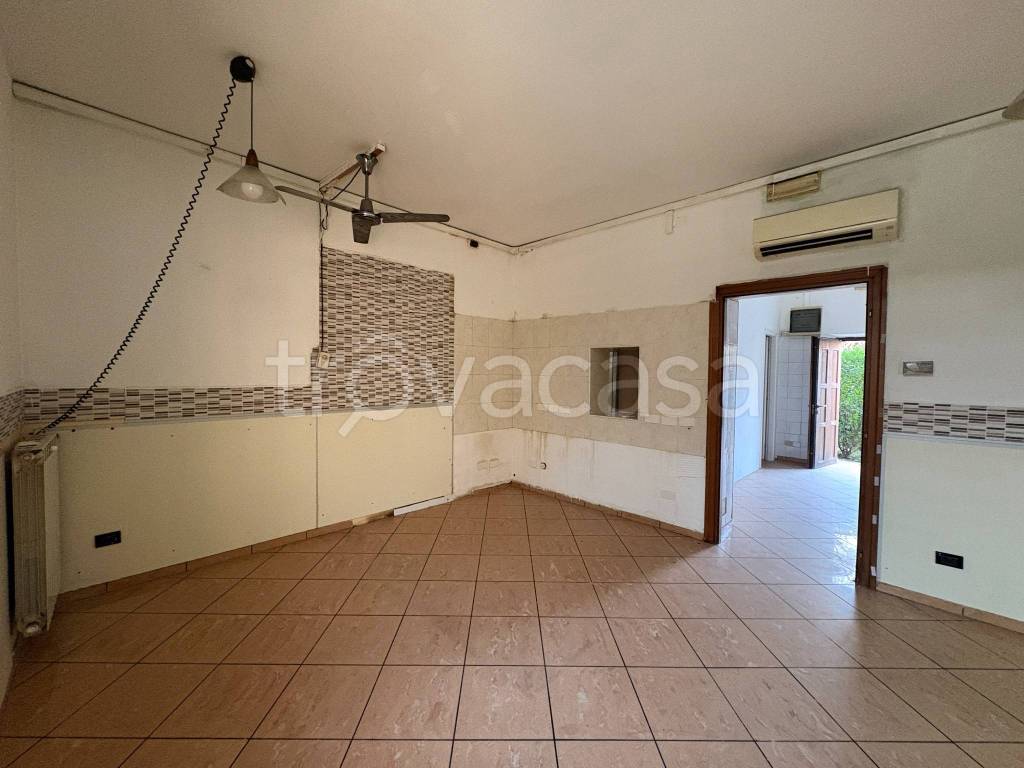 immagine annuncio 5 di 14