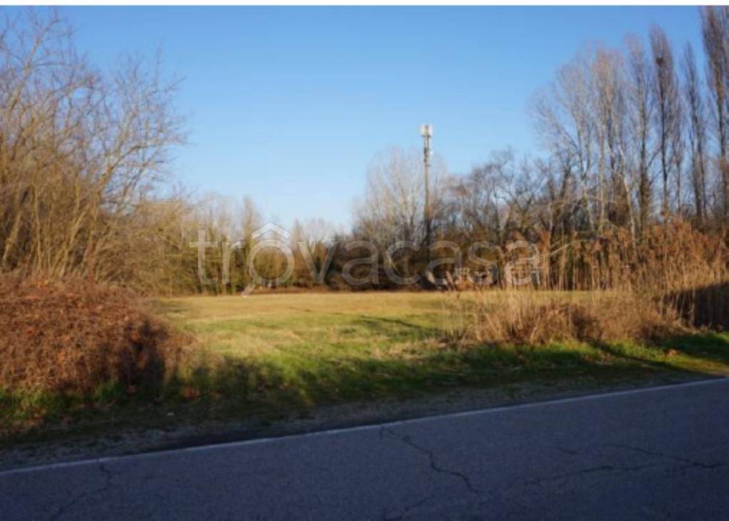 immagine annuncio 6 di 9