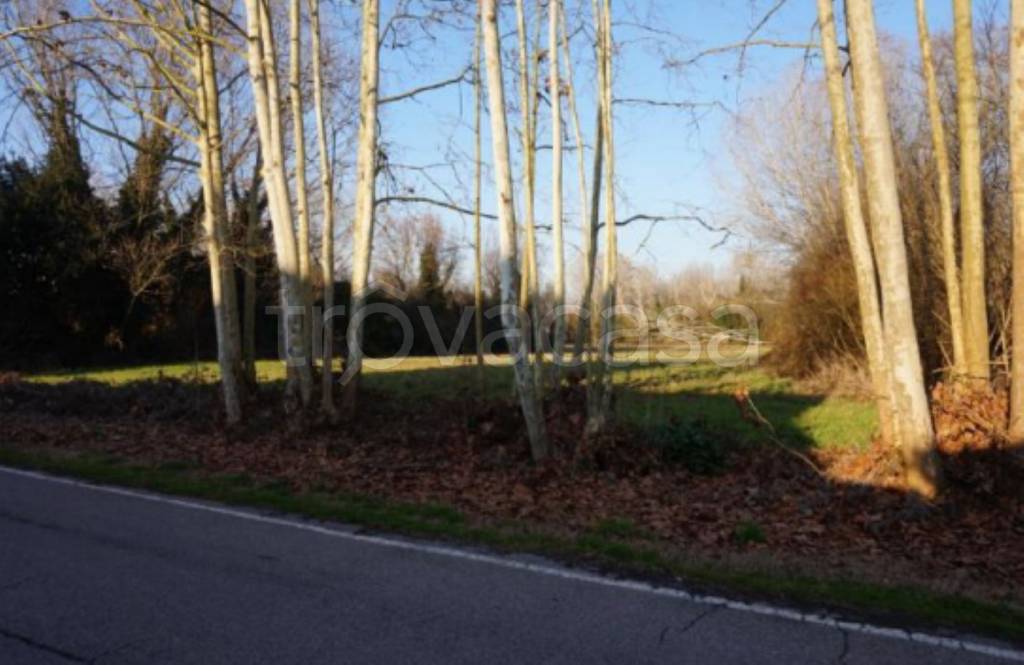 immagine annuncio 7 di 9