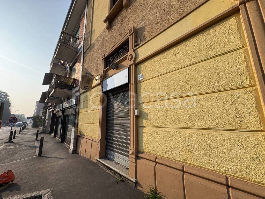 immagine annuncio 9 di 14