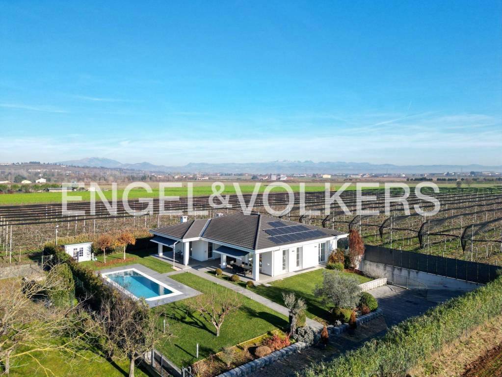 immagine annuncio 1 di 12