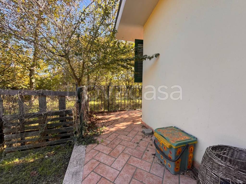 immagine annuncio 3 di 9