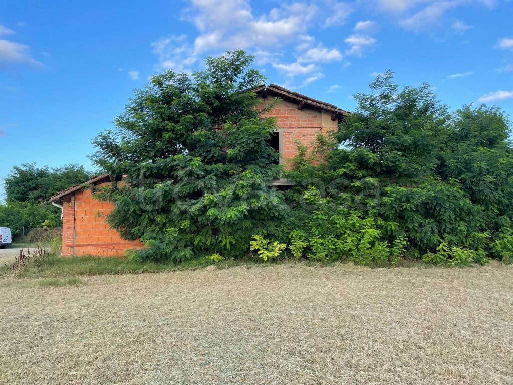 immagine annuncio 2 di 7