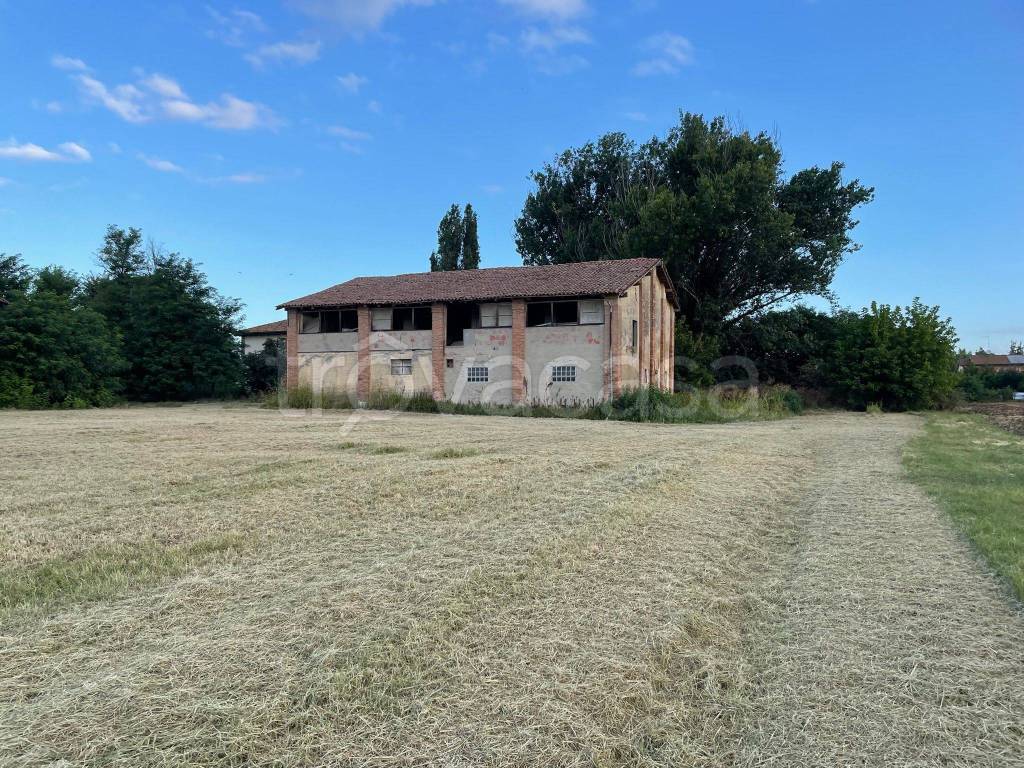 immagine annuncio 3 di 7