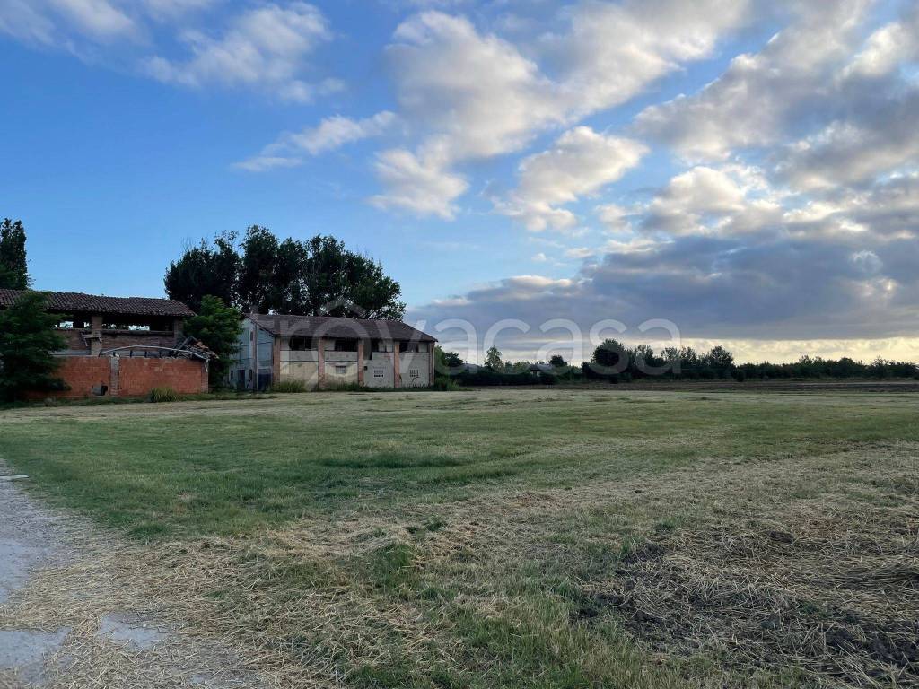 immagine annuncio 4 di 7