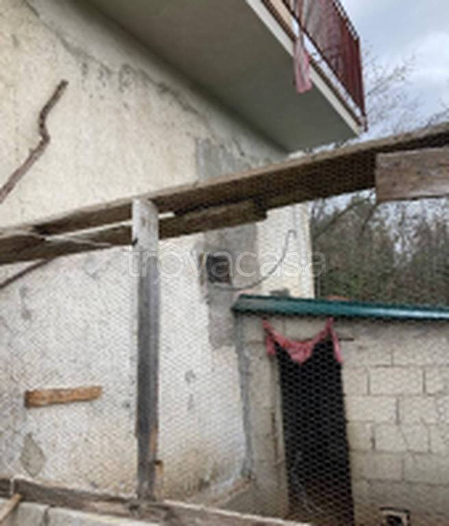 immagine annuncio 5 di 11