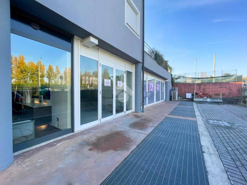 immagine annuncio 5 di 12