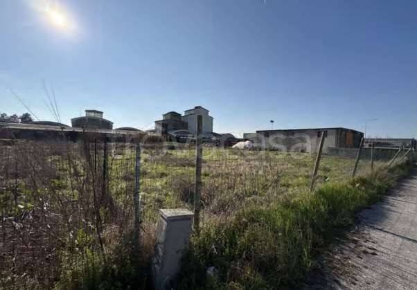 immagine annuncio 4 di 11