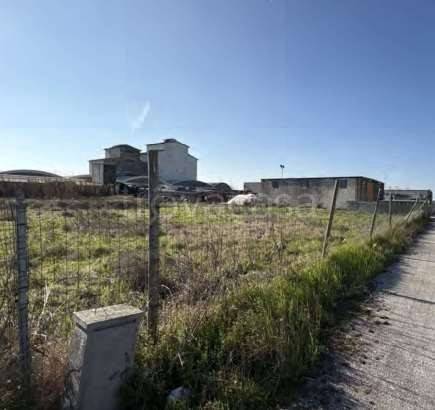 immagine annuncio 5 di 11