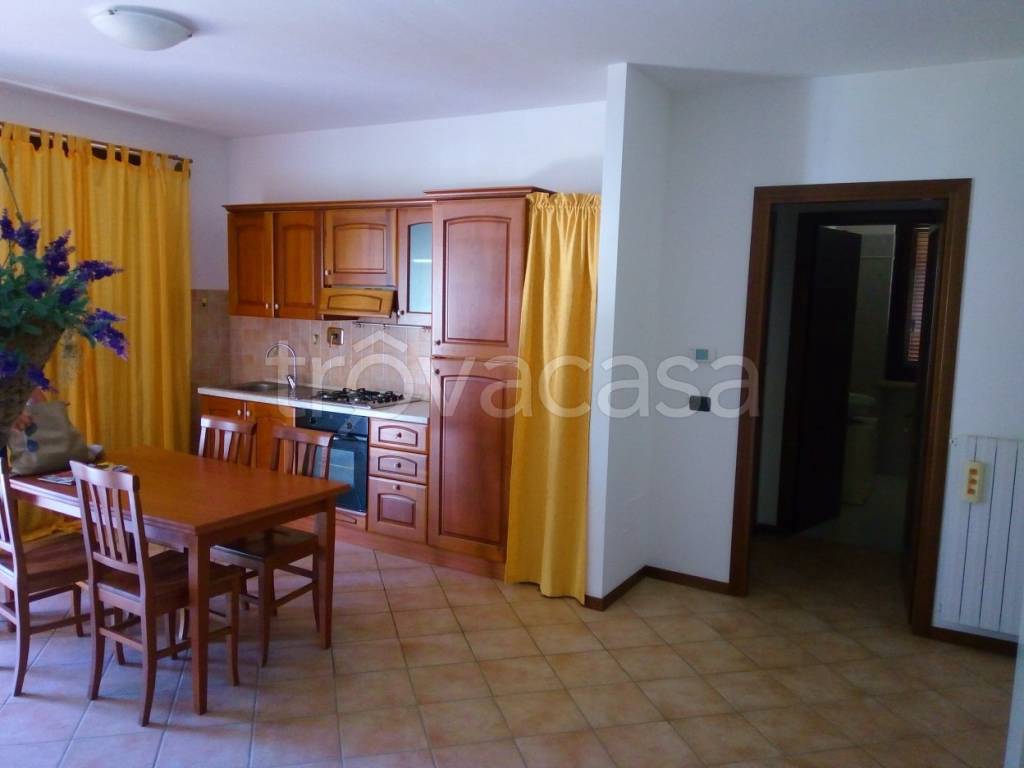 immagine annuncio 3 di 12