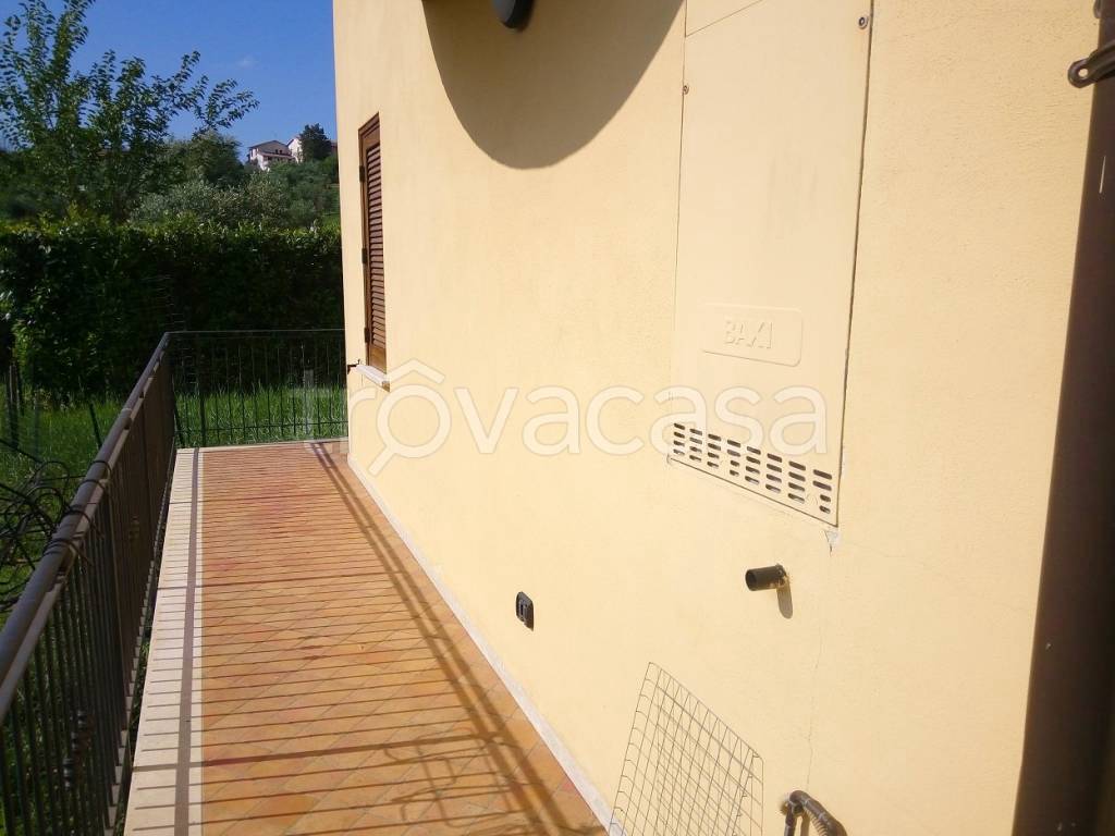 immagine annuncio 11 di 12