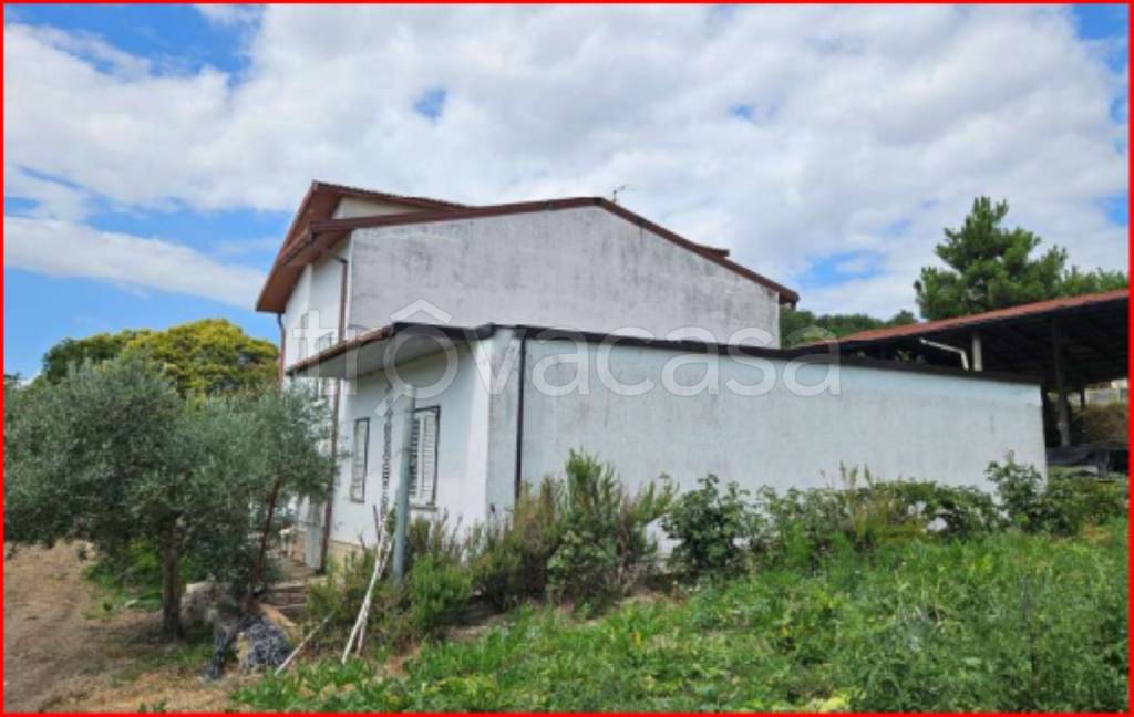 immagine annuncio 2 di 12