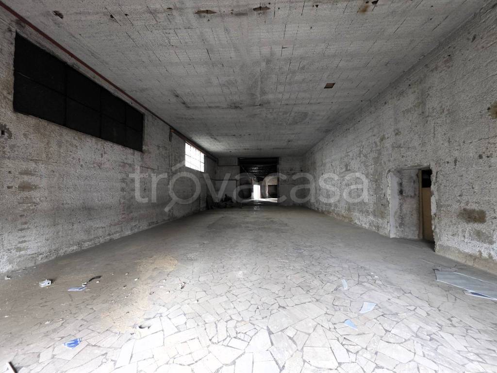 immagine annuncio 4 di 9