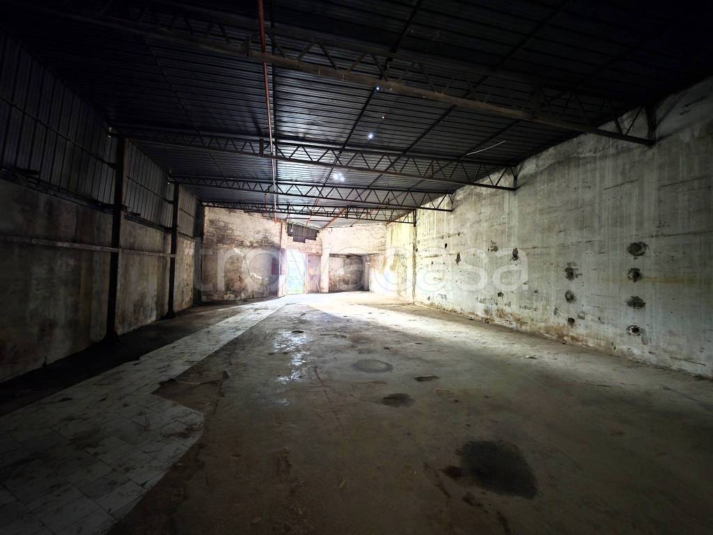 immagine annuncio 5 di 9