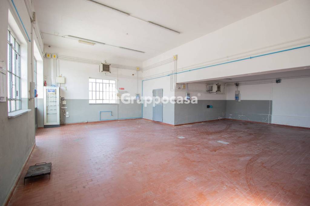 immagine annuncio 1 di 12