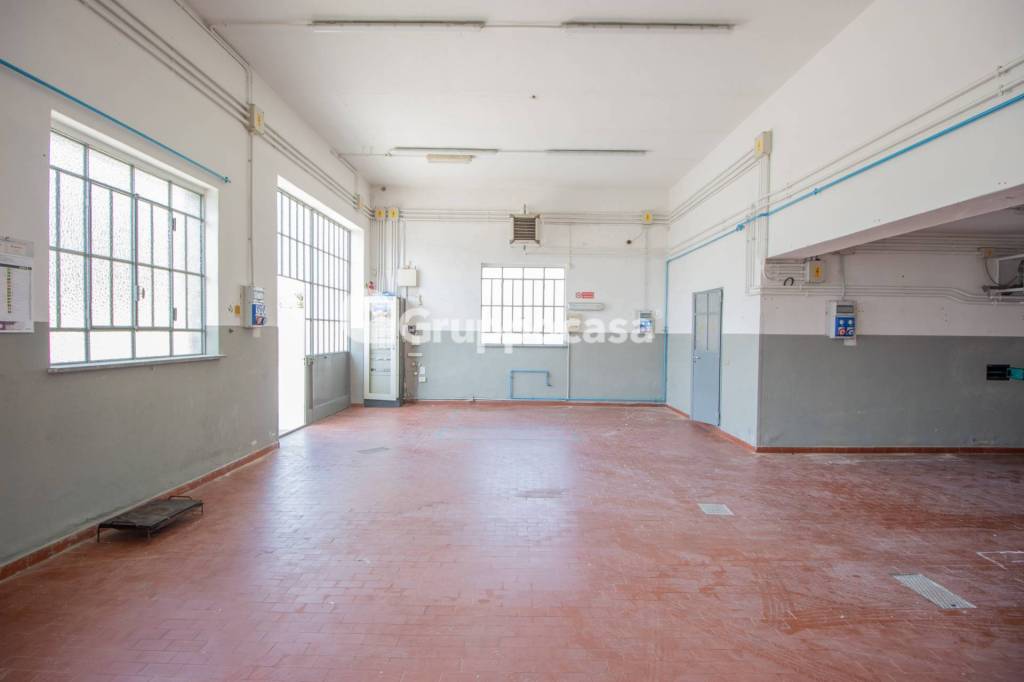 immagine annuncio 3 di 12