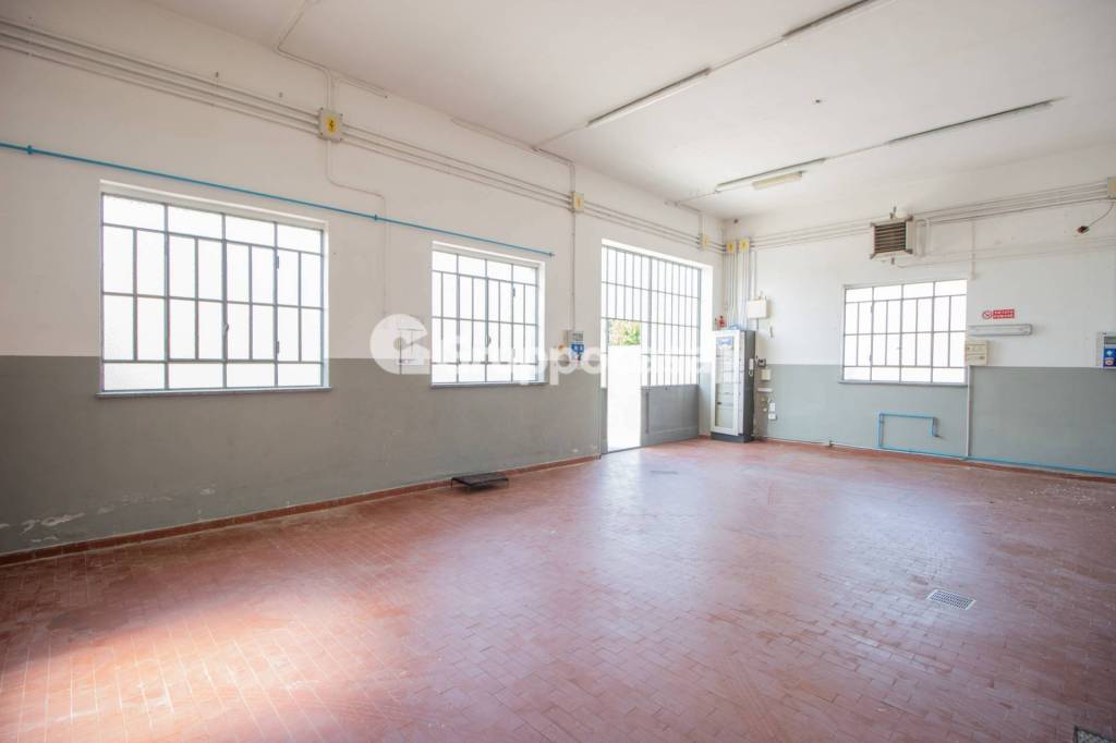 immagine annuncio 4 di 12