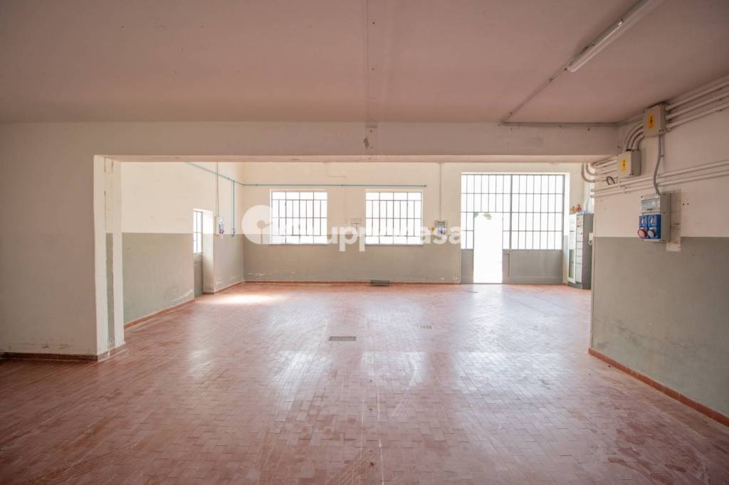 immagine annuncio 6 di 12