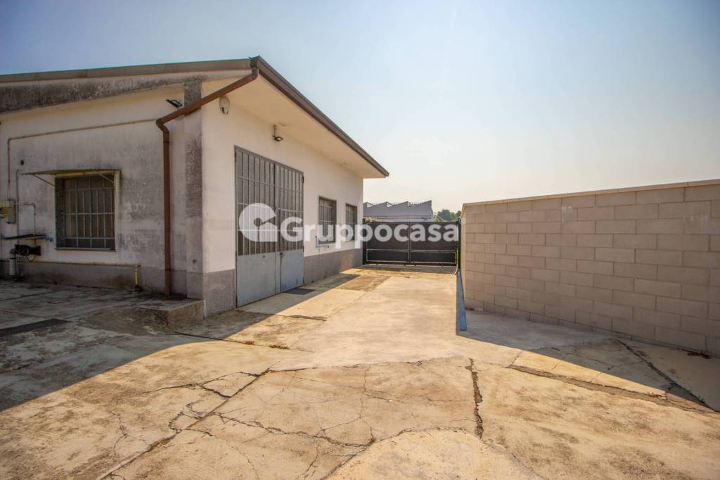 immagine annuncio 10 di 12