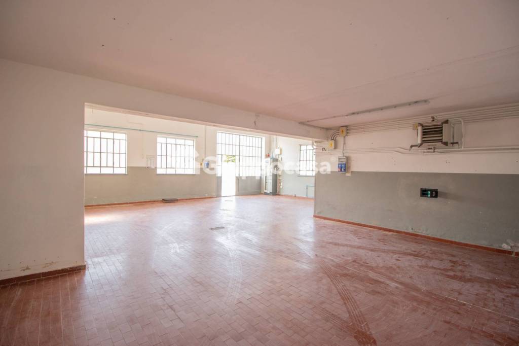 immagine annuncio 11 di 12