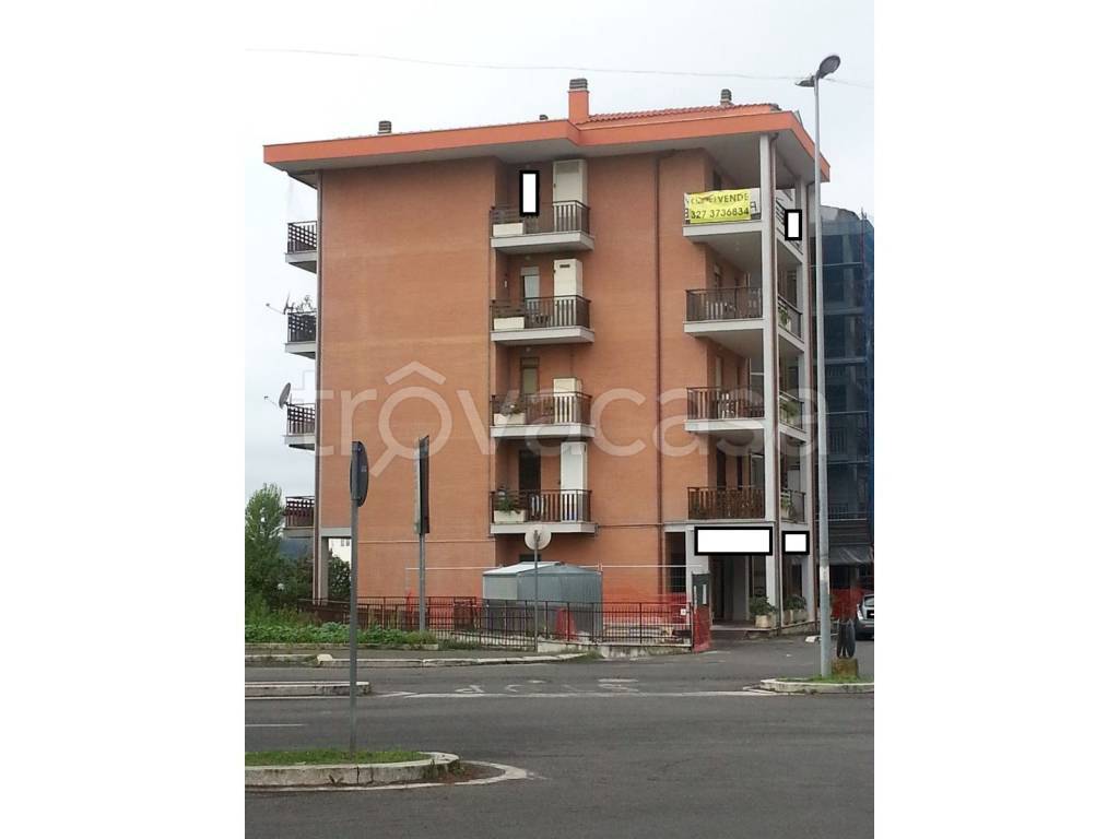 immagine annuncio 12 di 15