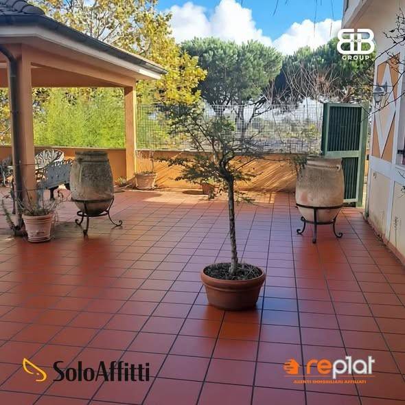 immagine annuncio 2 di 8