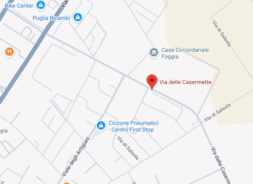 immagine annuncio 3 di 12