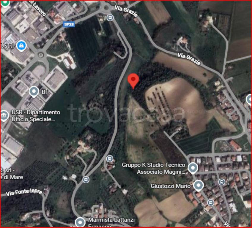 immagine annuncio 11 di 12