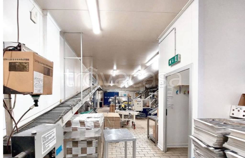 immagine annuncio 7 di 13