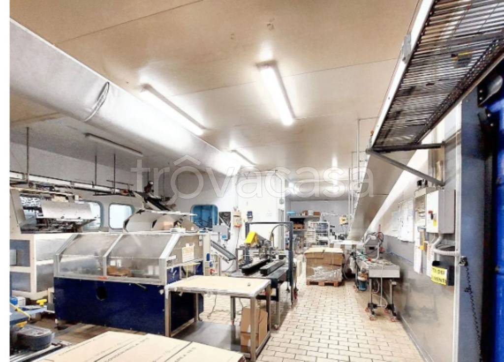 immagine annuncio 8 di 13