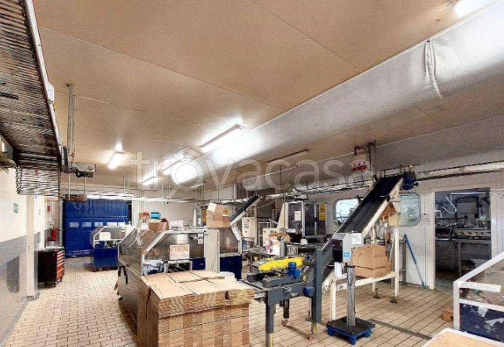 immagine annuncio 9 di 13