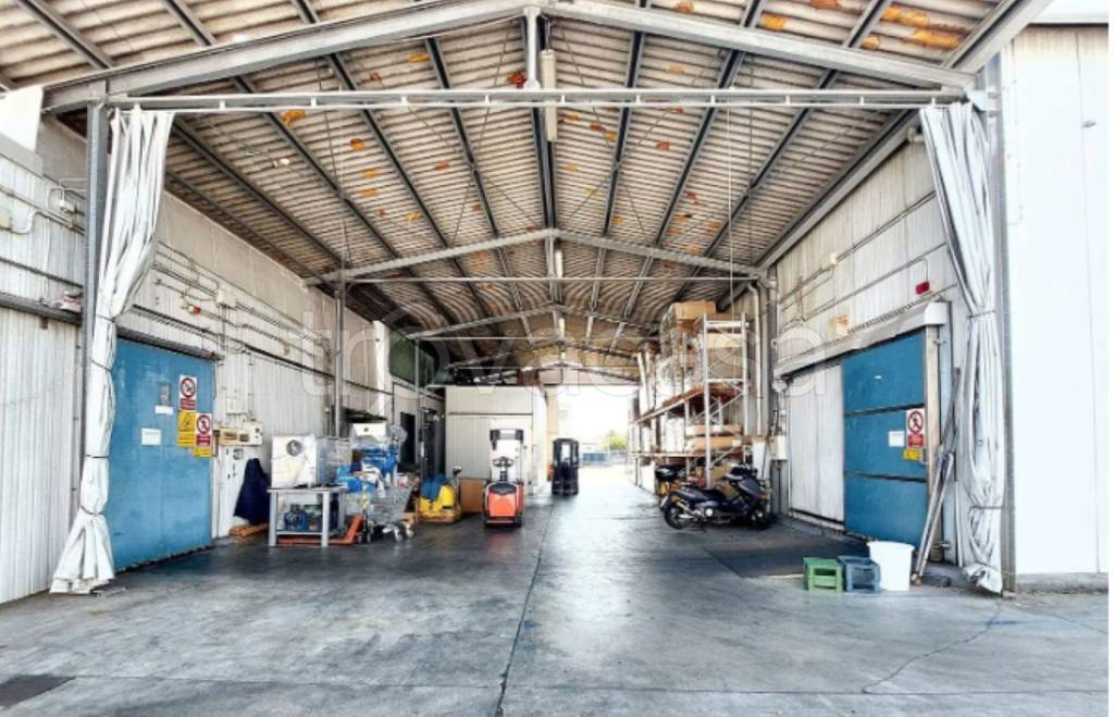 immagine annuncio 11 di 13