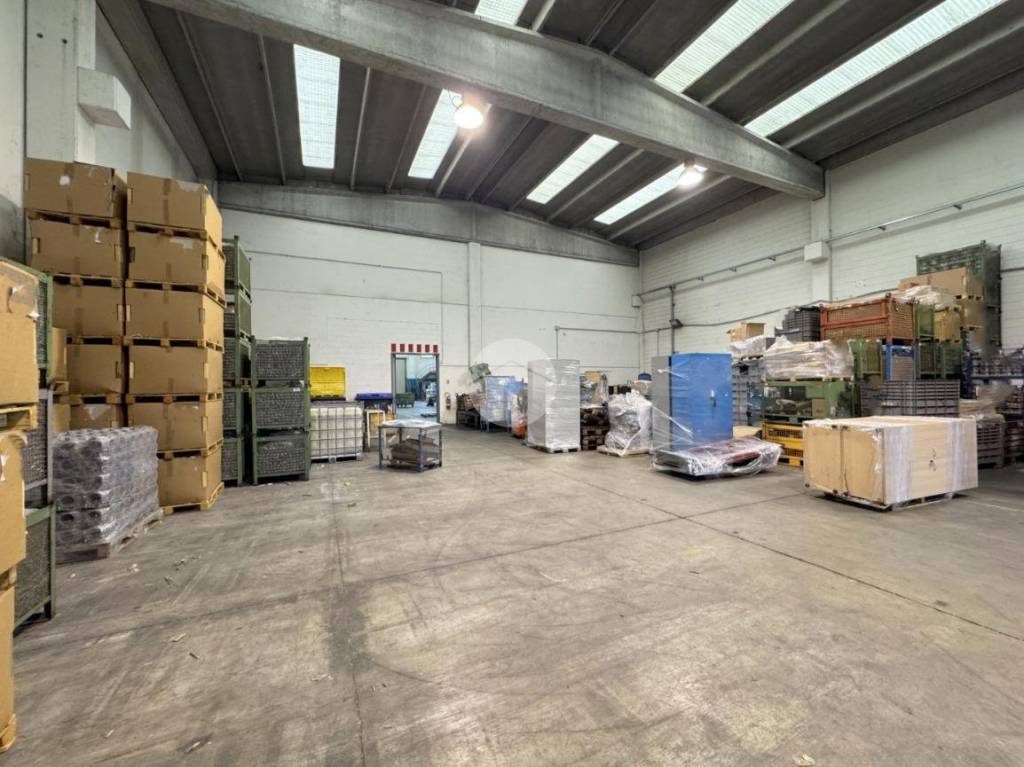 immagine annuncio 5 di 7