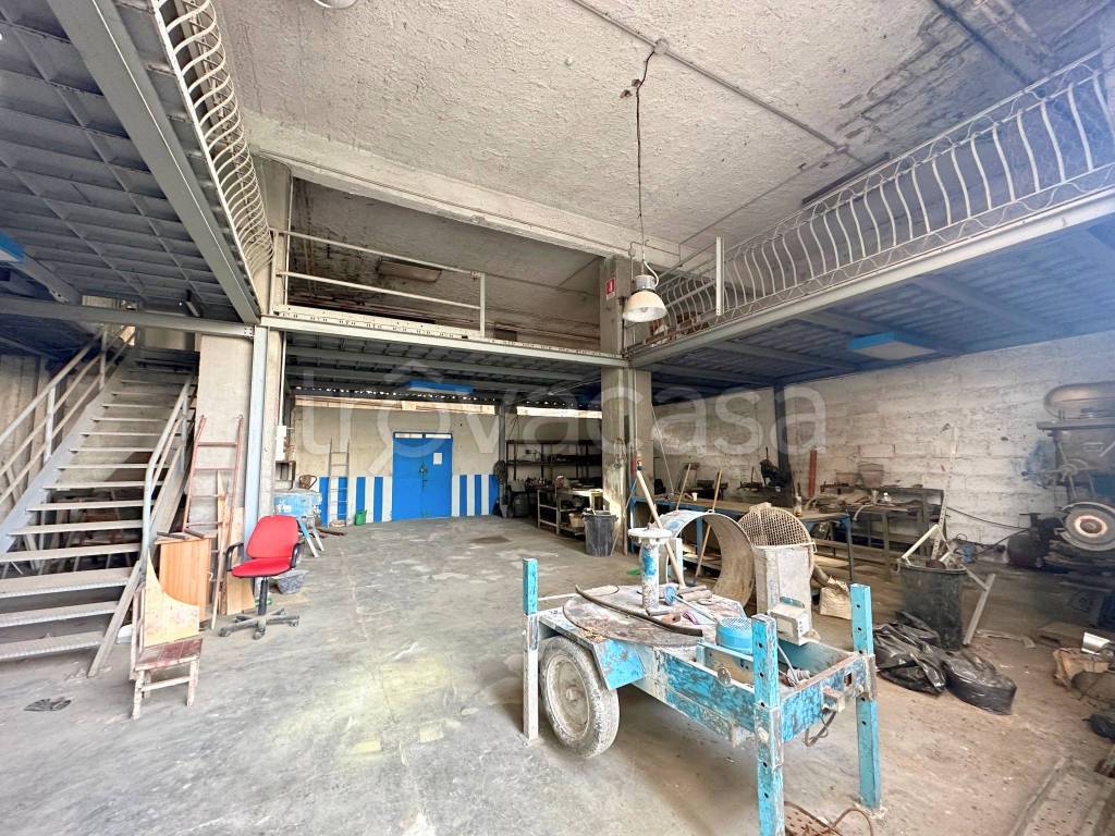 immagine annuncio 11 di 15