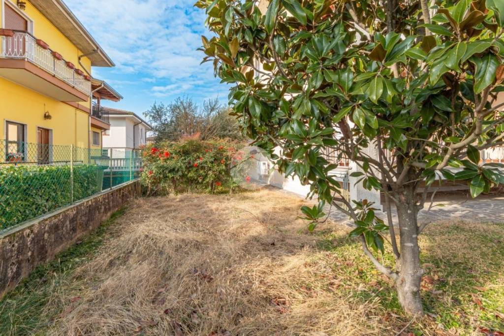 immagine annuncio 3 di 8