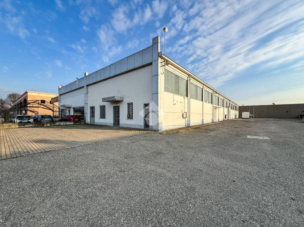 immagine annuncio 5 di 15